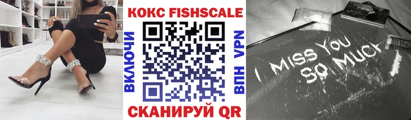 Cocaine FishScale  Купить  Разумное 
