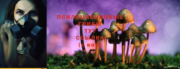 таблы Дмитриев