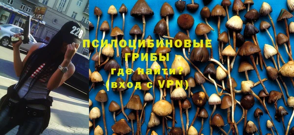 меф Дмитровск