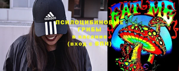 таблы Дмитриев