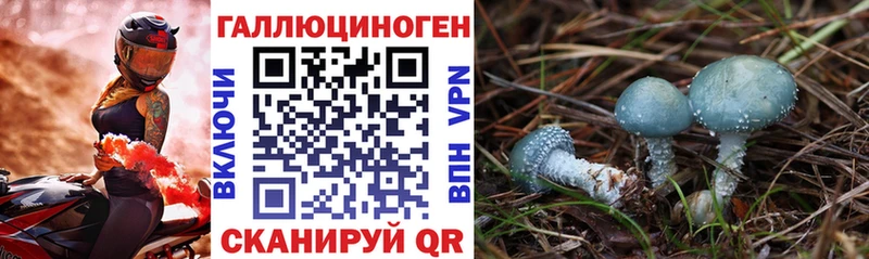 Галлюциногенные грибы Psilocybe  Купить закладки  Разумное 